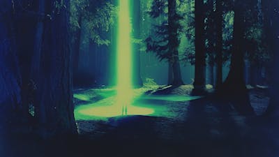 Bosque de Rendlesham: estableciendo contacto