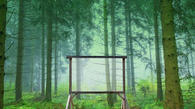 Rediseñando el mañana