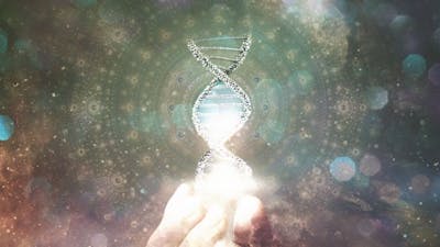 Metabolic Approach to Cancer with Dr. Donese Worden