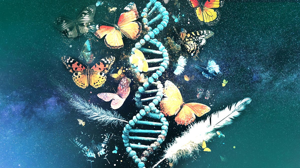 Watch DNA Tuning | Gaia