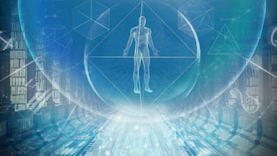 Evolutionäre Muster des Universums