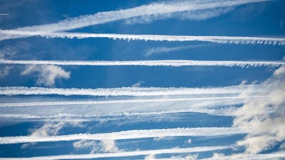 Under the Chembow with Sharon Schloss