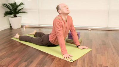 Yin Yoga for the Spine