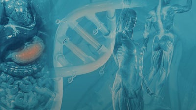 Caroline Sutherland on Body Wisdom