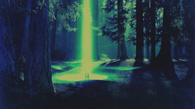 Rendlesham Forest: Contact Is Made