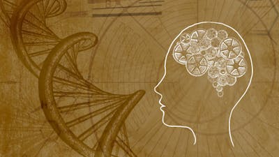 Evolución Consciente