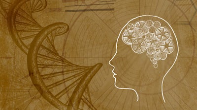 Evolución Consciente