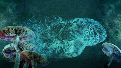 Psychedelic Psychology