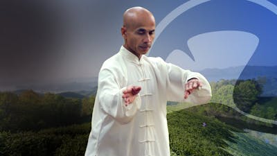 Coq d’or se tient debout sur une patte