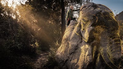 Giants Frozen in Stone
