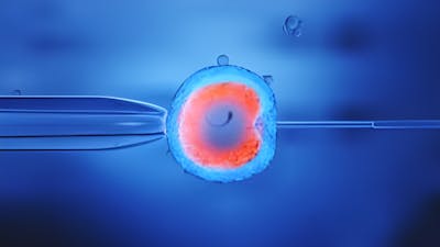 Exponiendo las agendas de los OGM, con Jeffrey Smith