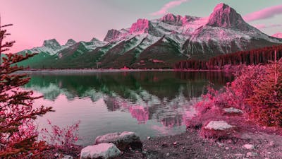 Life Partners - Talk