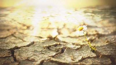 Death: An Inspiration for Living with Marilyn Schlitz