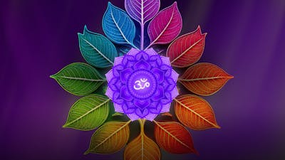 Chakra coronal : élever la conscience