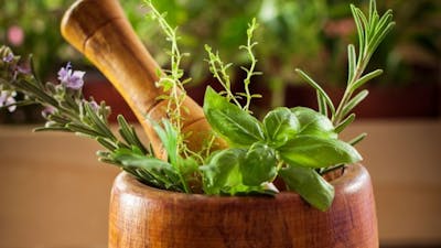 Natural Born Cancer Killers with Ty Bollinger