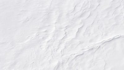 Nick Bunick & Barbara DeAngelis