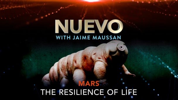 The Resilience of Life
