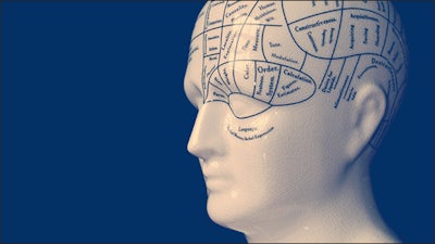 Sentient Evolution with Meg Blackburn Losey