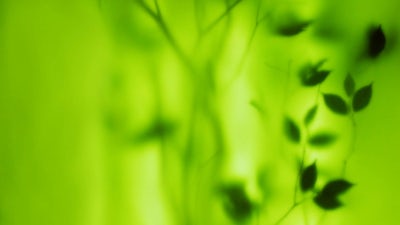 Healing Within (Patti Conklin)