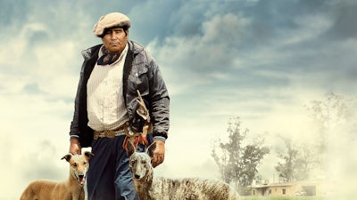 Testigo de Otro Mundo