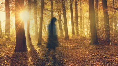 Unexplained Phenomena and the Sun with Jack Cary