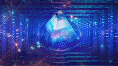 The Light System Organization