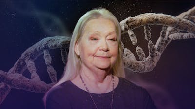 Kontaktierte zweiter Generation: Hybride DNA bestätigt