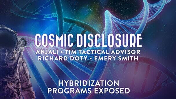 Hybridization Programs Exposed