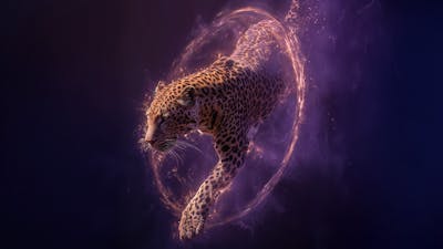 You Are the Architect of Your Evolution