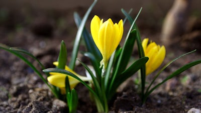 James O’Dea on Peace and Transformation