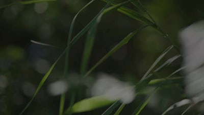 Gilles Delieuze : Changer de regard