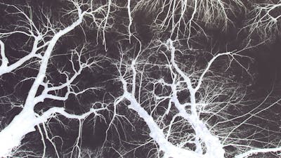 Expérience de mort imminente, aux frontières du paranormal