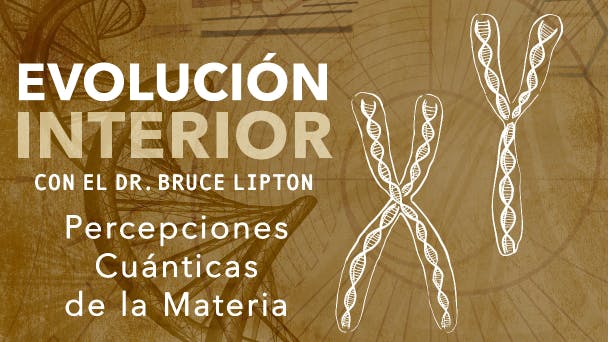 Percepciones Cuánticas de la Materia