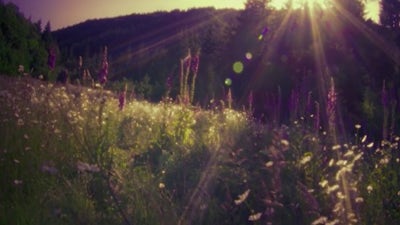 The Welcoming: Coming Home with Michael Stillwater