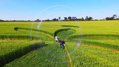 Agrograma sin vida en el interior