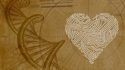 L'effet Lune de Miel