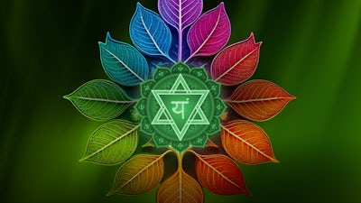 Heart Chakra: Embrace Compassion