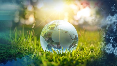 La conscience du ventre