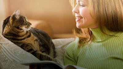 Communicating with Animals