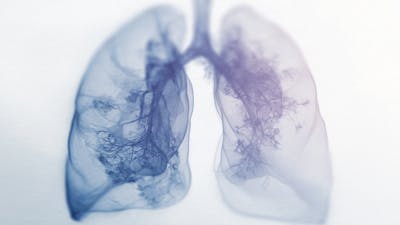 The Art of Breathing