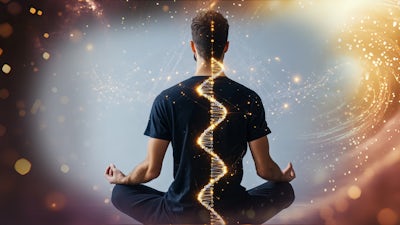 Activation des Mémoires Cellulaires 