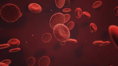 Harvey Bigelsen on Holographic Blood