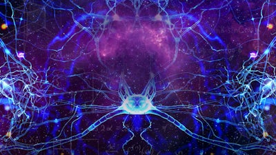 Self-Mastery with the Reptilian Brain