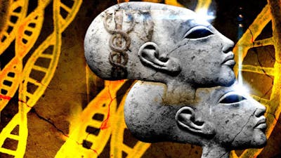 Elongated Head DNA Discovery