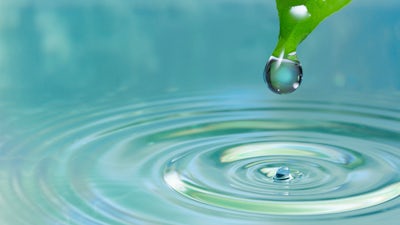 Hale Dwoskin on the Sedona Method