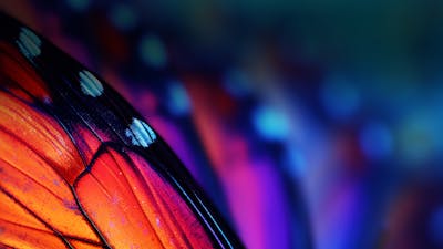 Preview Season 4 of Emersion Conference