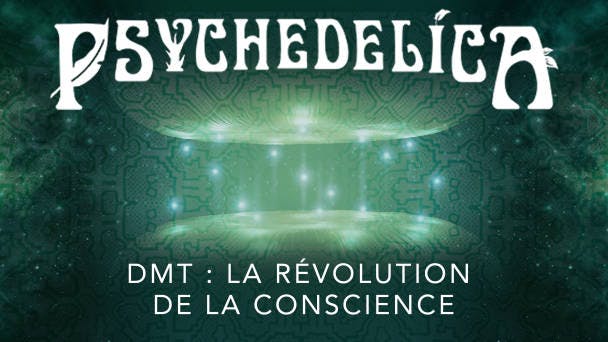 DMT : la révolution de la conscience