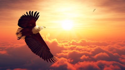 Shapeshifting with Star Guides and Kundalini Yoga (John Perkins & Gurmukh Khalsa)