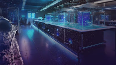 Reverse-Engineering einer neuen Welt