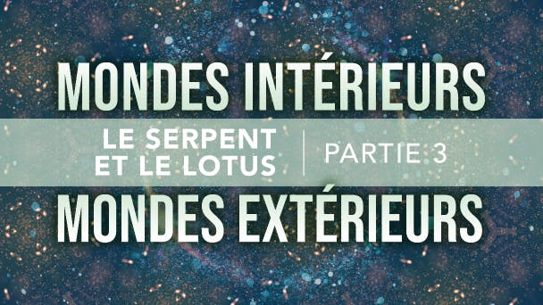 Le serpent et le lotus